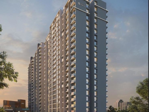 Infinity World Aundh Ravet BRT Road 1